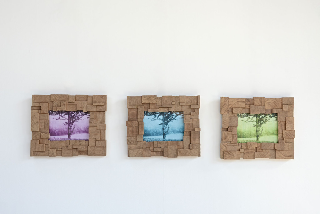 Mod.Caos.frame-FrigerioPaolo&C