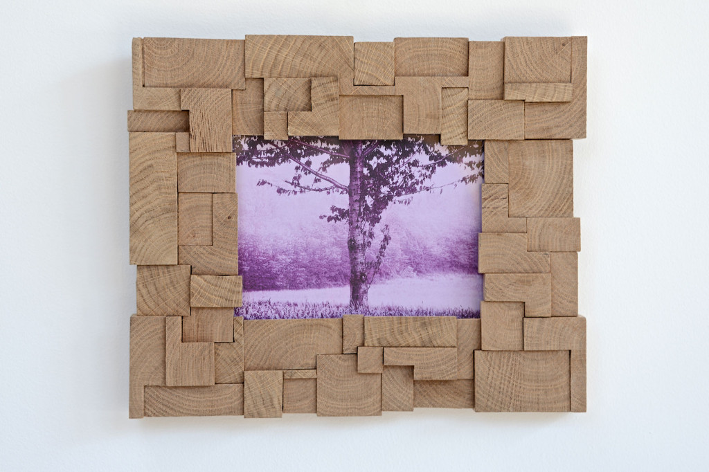 Mod.Caos.frame-FrigerioPaolo&C.3